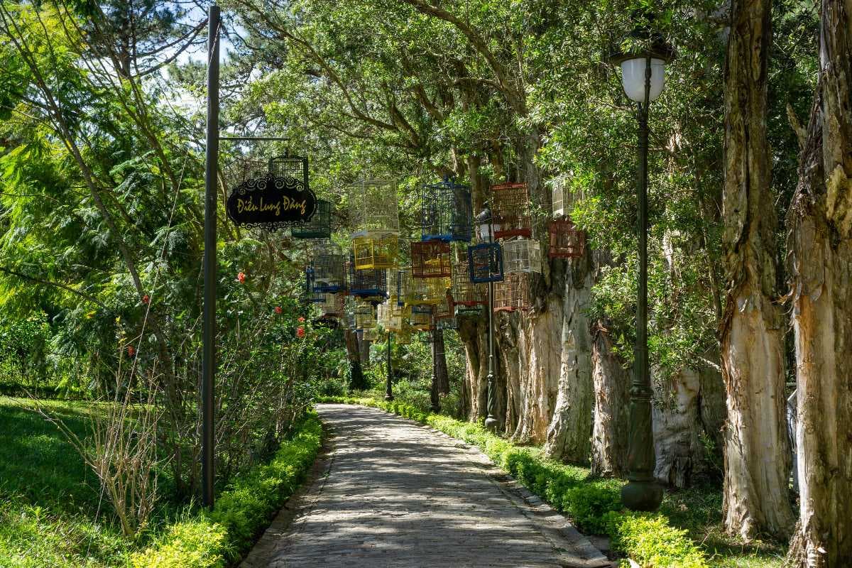 Park Walkway along Trees with Street Lanterns and Bird Cages in the Park in front of Bao Dai King's Palace