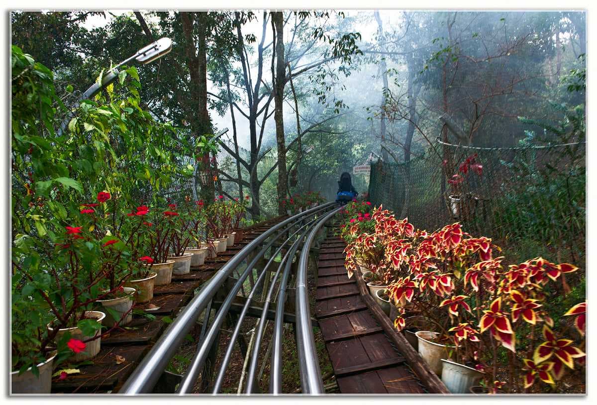 Alpine Coaster route to Datanla Falls