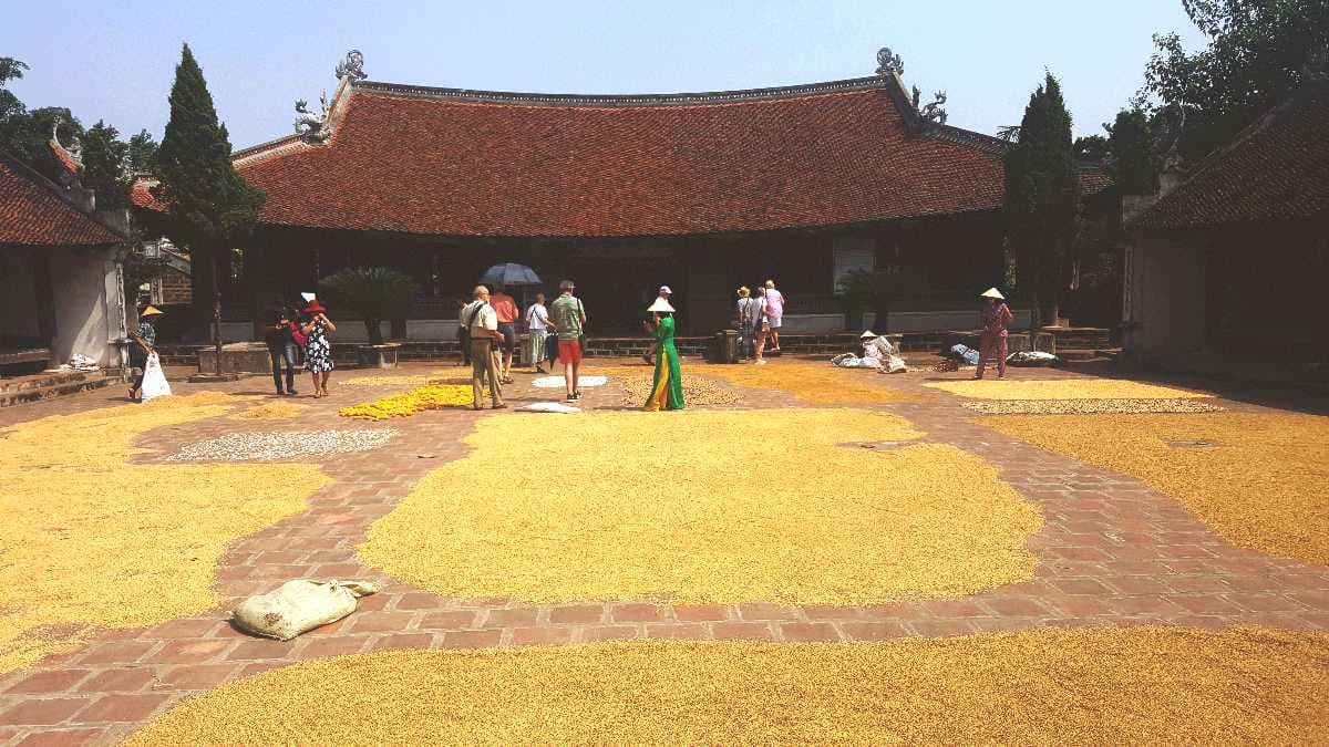 Duong Lam Ancient Village travel image