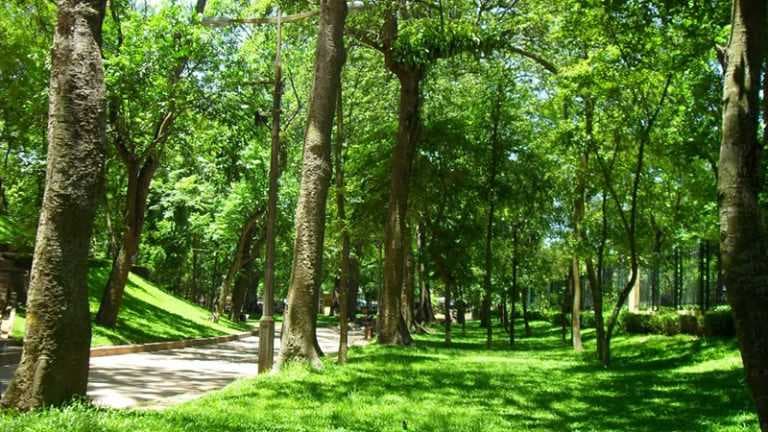 Hanoi Botanical Garden travel image