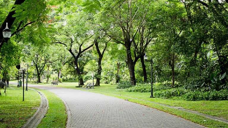 Hanoi Botanical Garden travel image