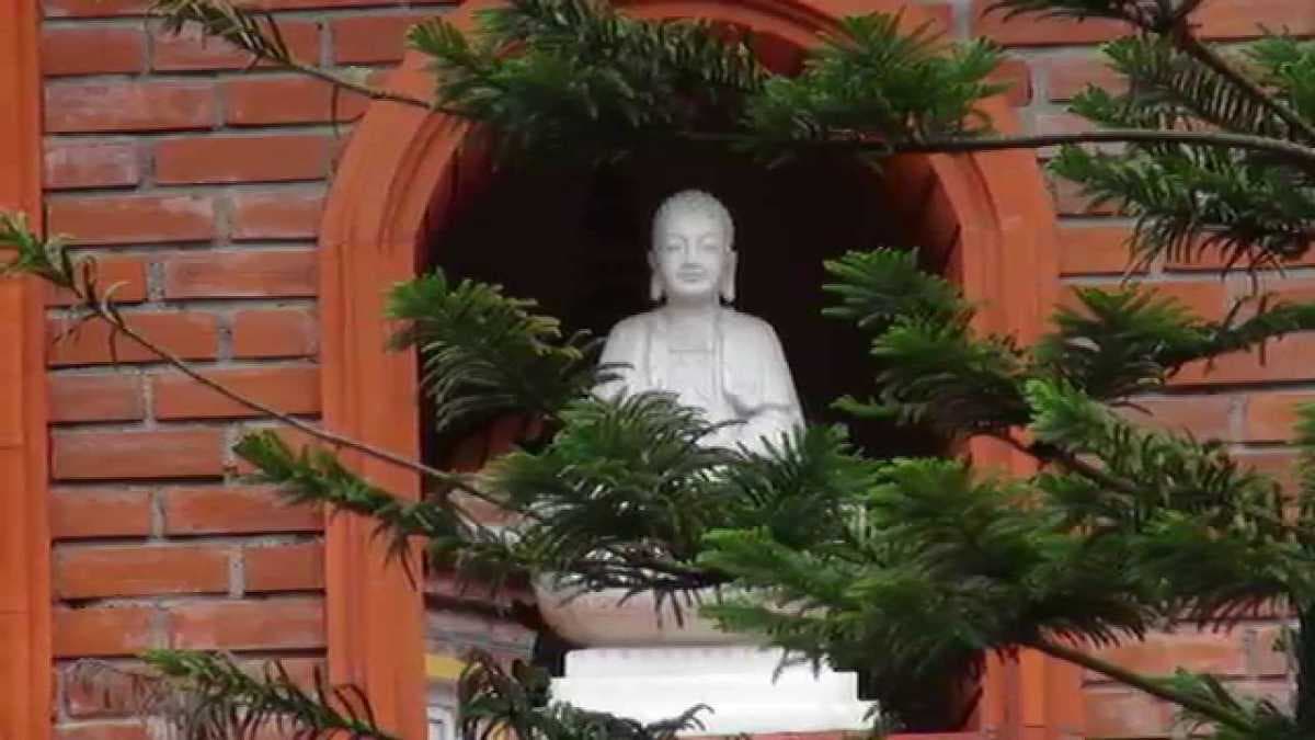 Tran Quoc Pagoda travel image
