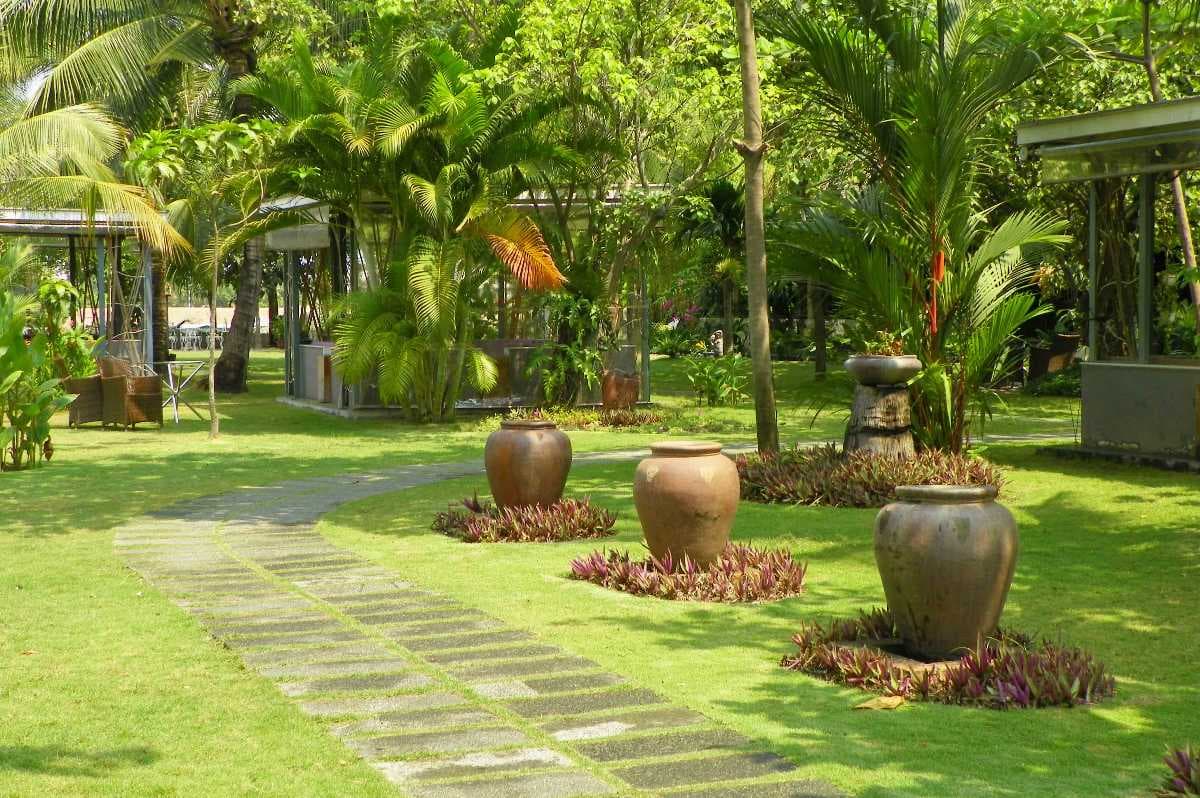 Binh Quoi Village travel image