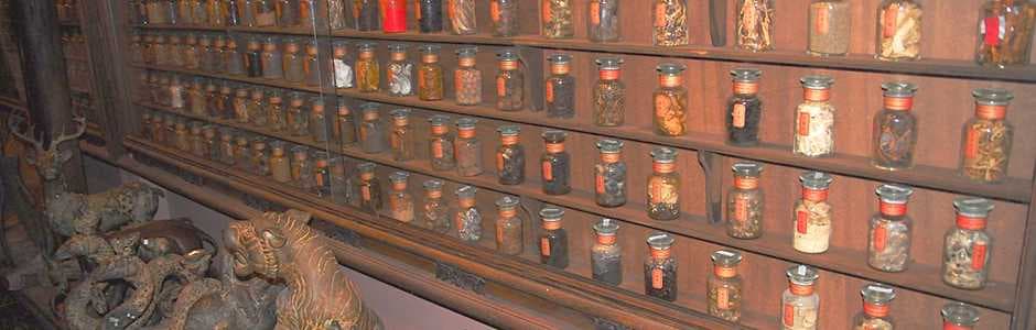 Museum of Traditional Vietnamese Medicine travel image