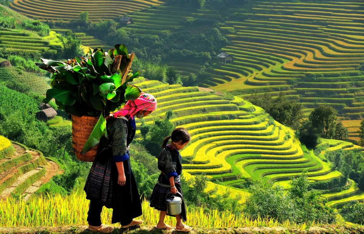 Lao Cai travel image