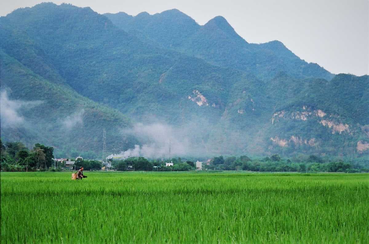 Long Xuyen