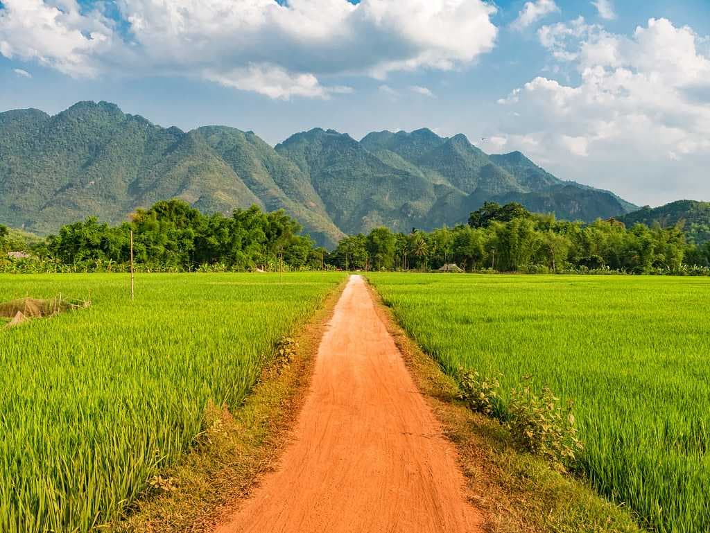 Mai Chau