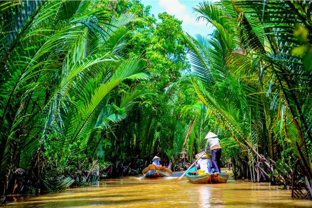Paddle Boat Rides in Mekong Delta
