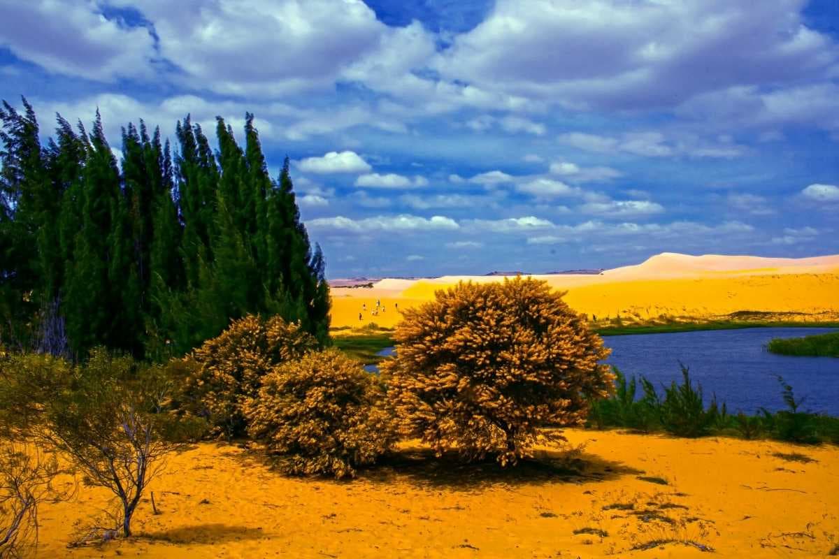 Mui Ne Sand Dunes travel image