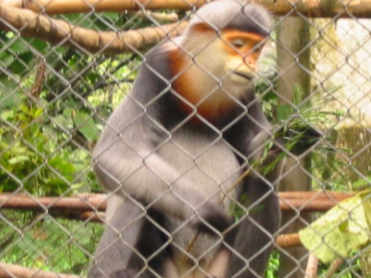 Cuc Phuong National Park travel image
