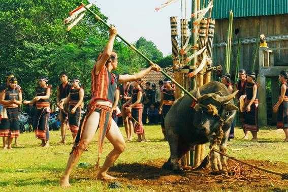 Pleiku Buffalo Stabbing Festival