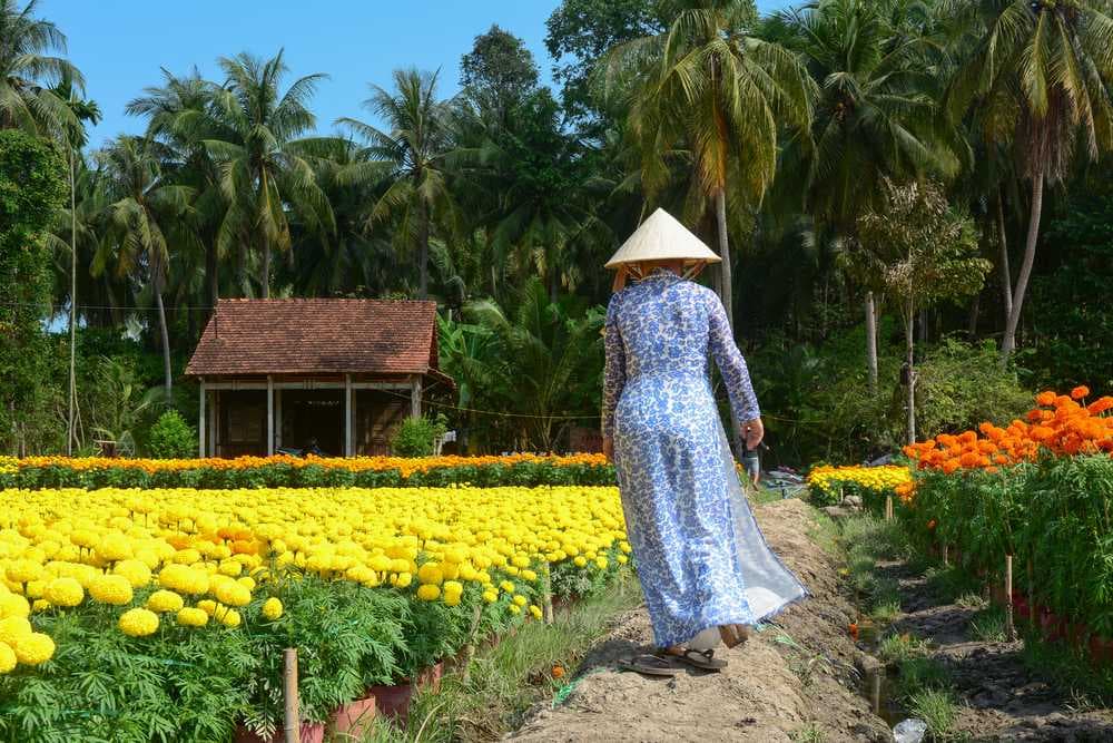 Scenic View of Sa Dec Flower Village