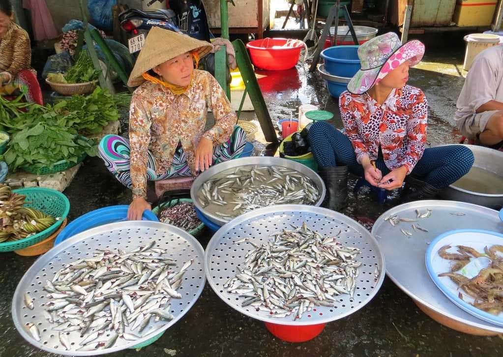 Local Fish Market, Sa Dec
