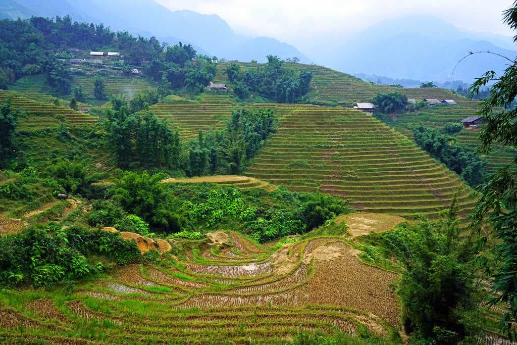 Mong Village